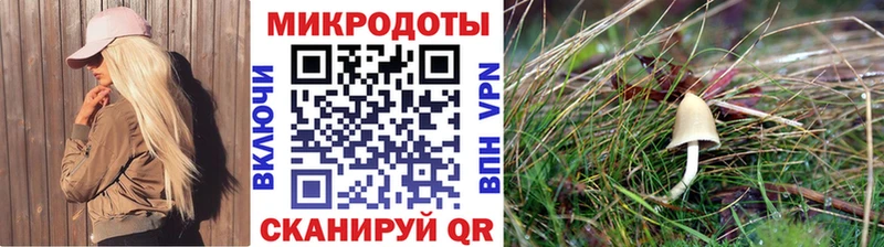 Купить где  Ишимбай  Псилоцибиновые грибы мицелий 